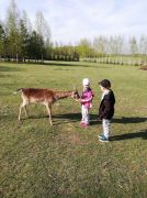 większy obrazek nr 1