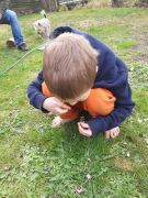 większy obrazek nr 2