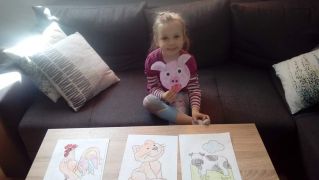 większy obrazek nr 9