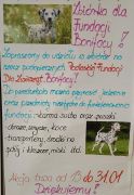 większy obrazek nr 4