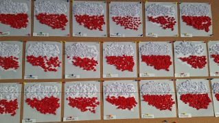 Polska wykonana przez dzieci z grupy Misiów