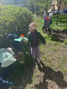 większy obrazek nr 2