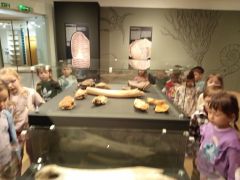 większy obrazek nr 6