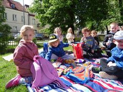 większy obrazek nr 1