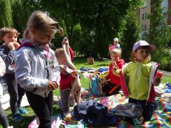 większy obrazek nr 4