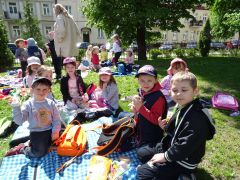 większy obrazek nr 5