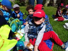 większy obrazek nr 7