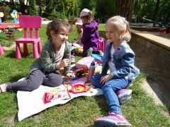 większy obrazek nr 8