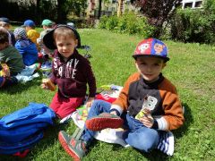 większy obrazek nr 10