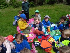 większy obrazek nr 11