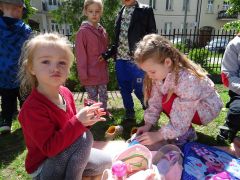 większy obrazek nr 13