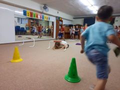 większy obrazek nr 2