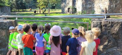 Dzieci oglądają niedźwiedzie w ZOO Akcent