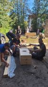 Tatusiowie zbijają skrzynki do ogródka
