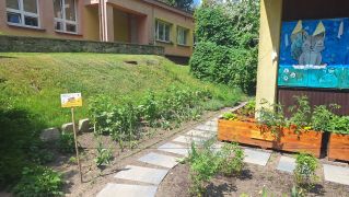 większy obrazek nr 5